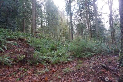 4703 Ames Lake Carnation Rd NE, Redmond, WA 98053 - Photo 17