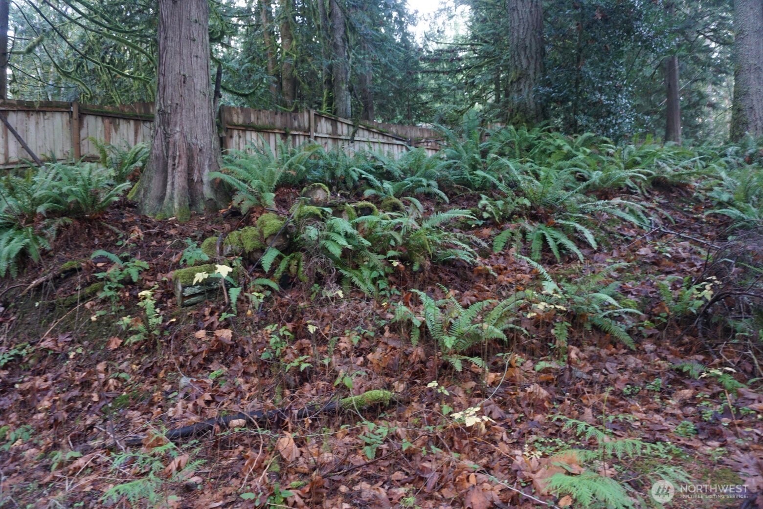 4703 Ames Lake Carnation Rd NE, Redmond, WA 98053