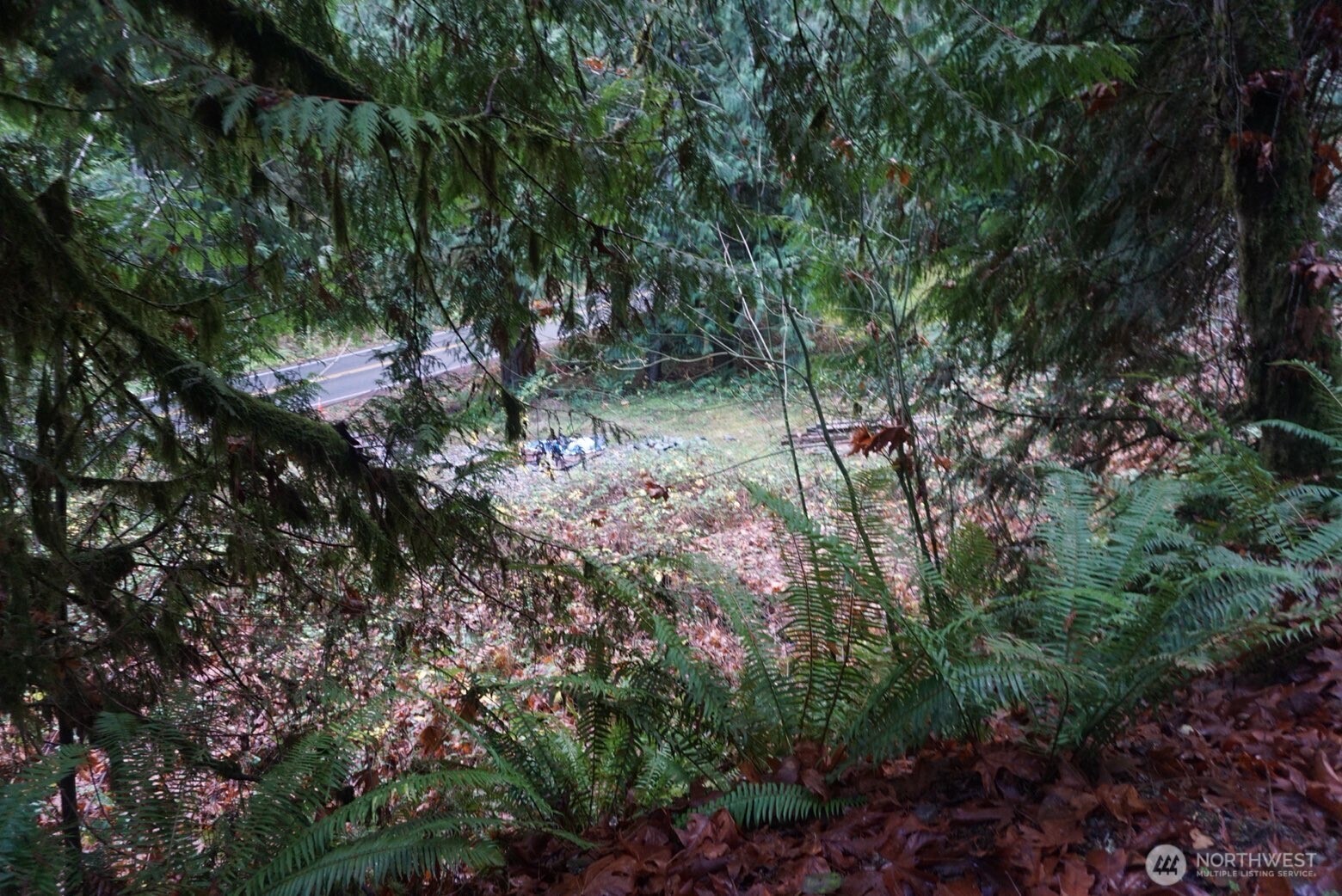 4703 Ames Lake Carnation Rd NE, Redmond, WA 98053