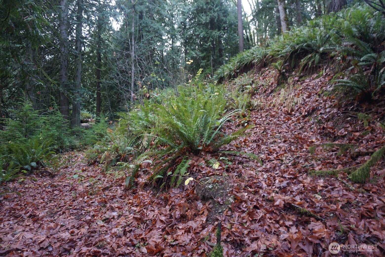 4703 Ames Lake Carnation Rd NE, Redmond, WA 98053