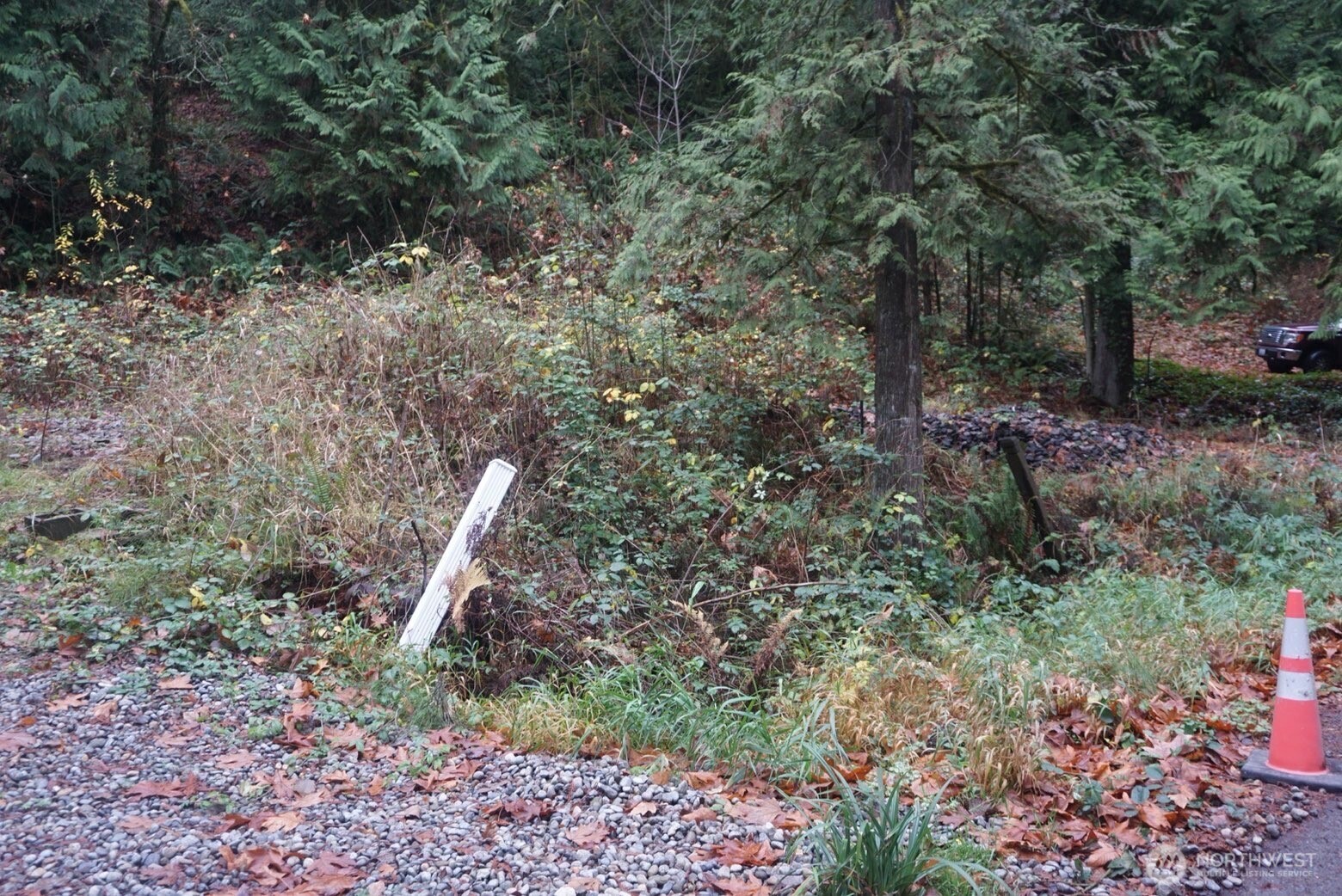 4703 Ames Lake Carnation Rd NE, Redmond, WA 98053