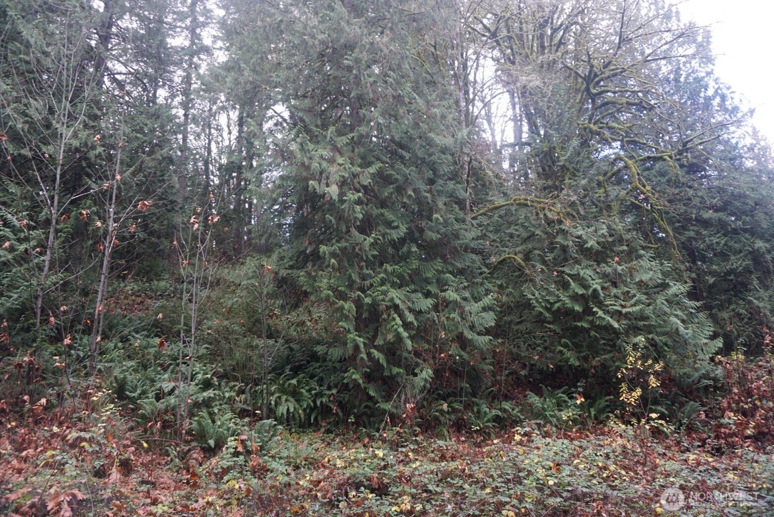 4703 Ames Lake Carnation Rd NE, Redmond, WA 98053