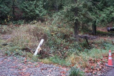 4703 Ames Lake Carnation Rd NE, Redmond, WA 98053 - Photo 3