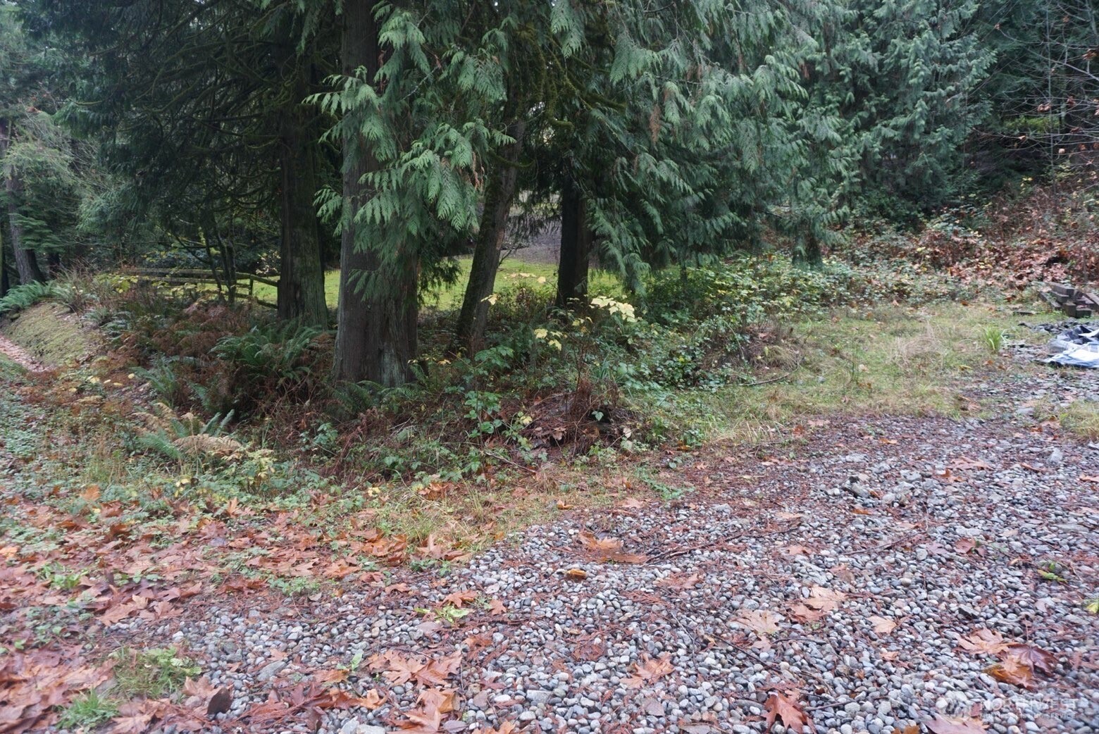 4703 Ames Lake Carnation Rd NE, Redmond, WA 98053