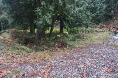 4703 Ames Lake Carnation Rd NE, Redmond, WA 98053 - Photo 4