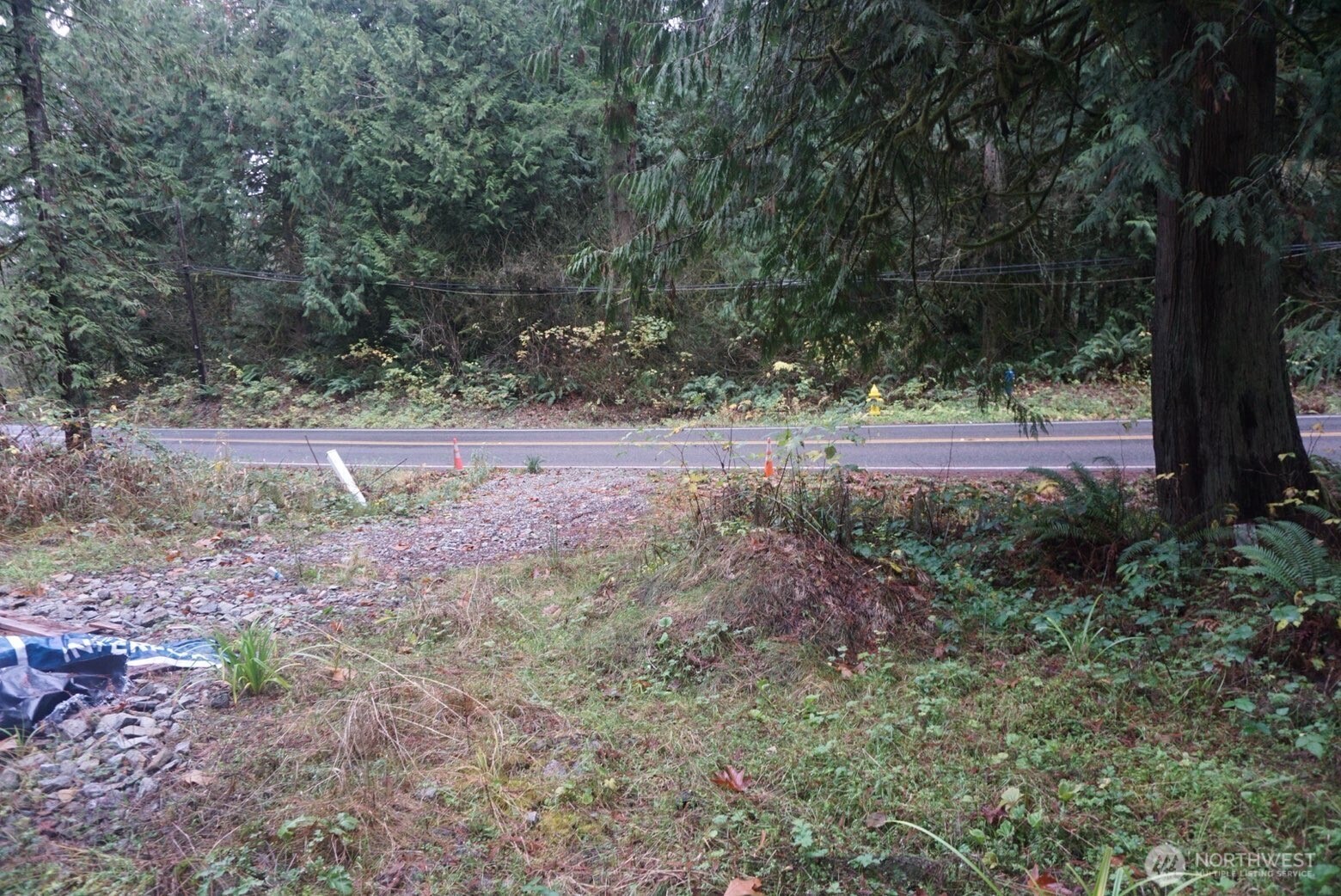 4703 Ames Lake Carnation Rd NE, Redmond, WA 98053