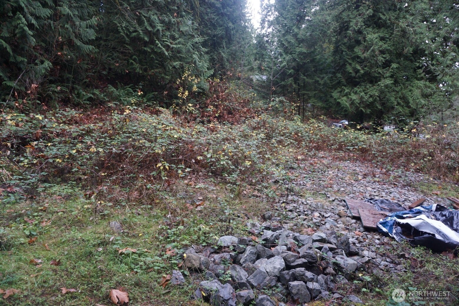 4703 Ames Lake Carnation Rd NE, Redmond, WA 98053