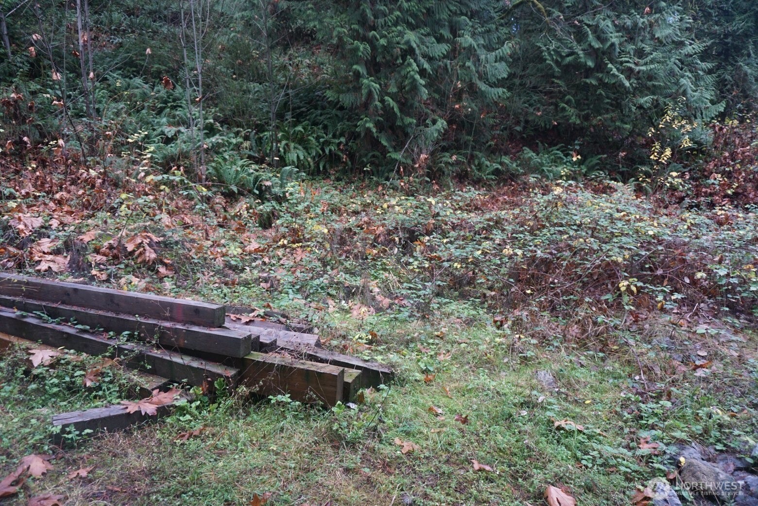 4703 Ames Lake Carnation Rd NE, Redmond, WA 98053