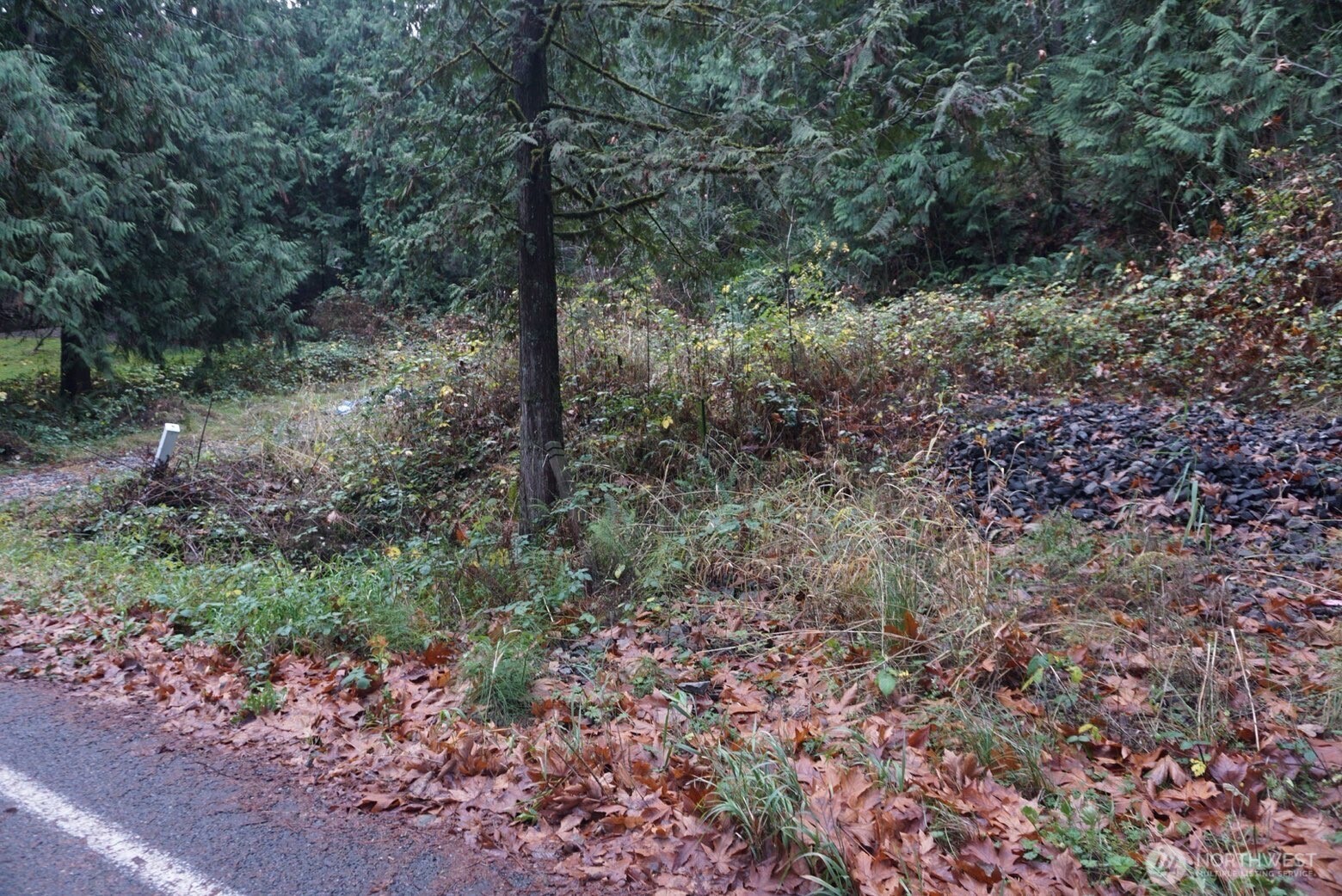 4703 Ames Lake Carnation Rd NE, Redmond, WA 98053