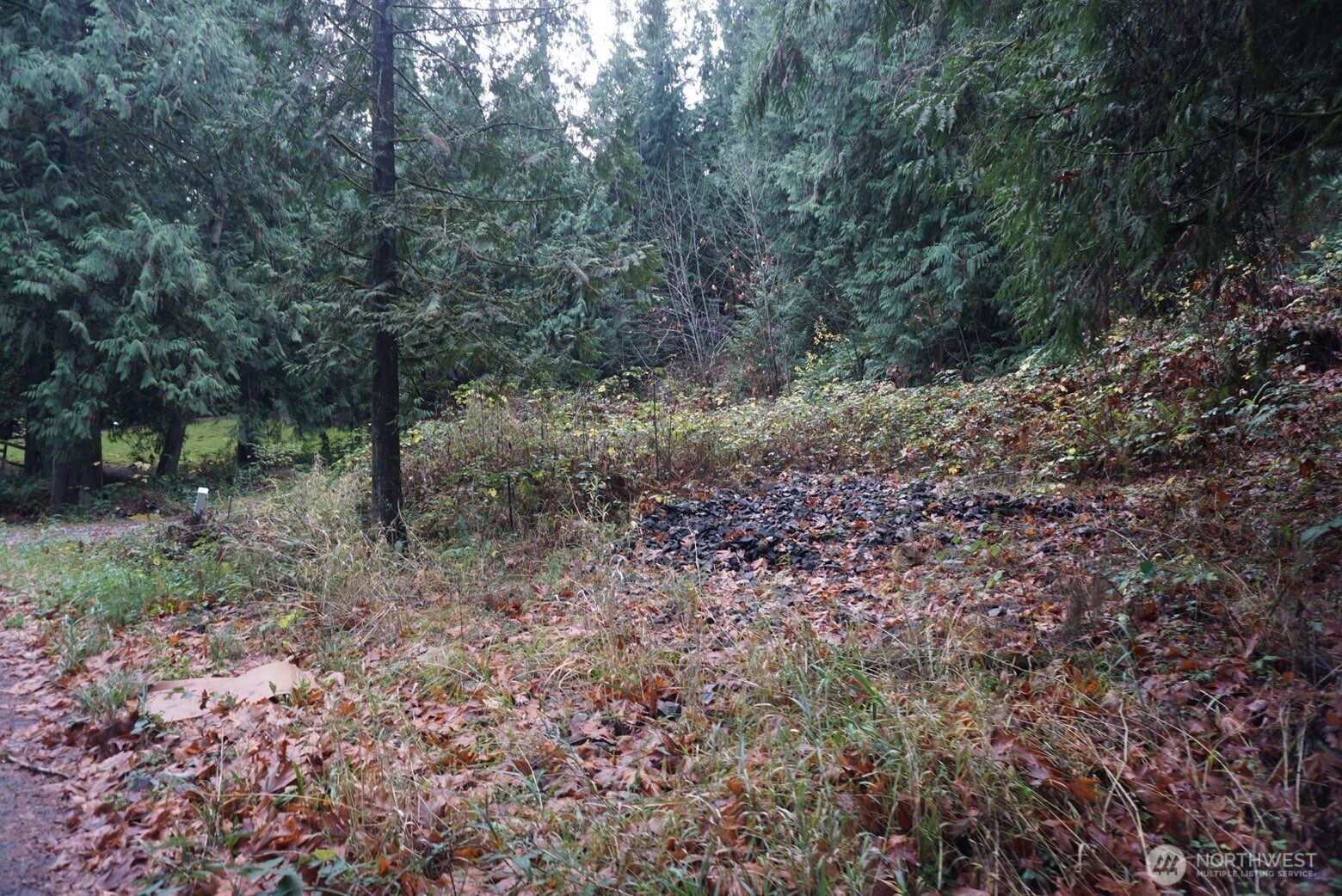 4703 Ames Lake Carnation Rd NE, Redmond, WA 98053