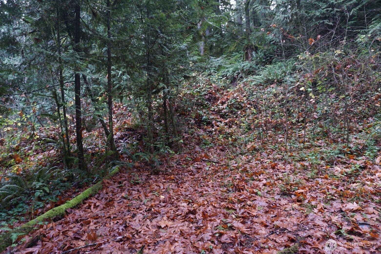 4703 Ames Lake Carnation Rd NE, Redmond, WA 98053