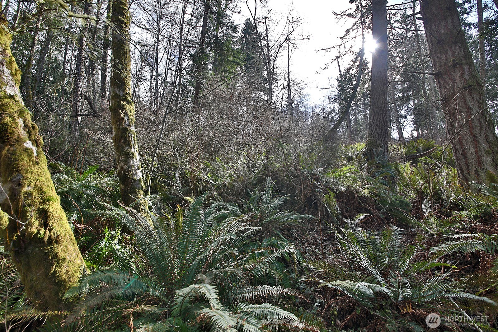 0 XXX Scatchet Head Road , Clinton, WA 98260