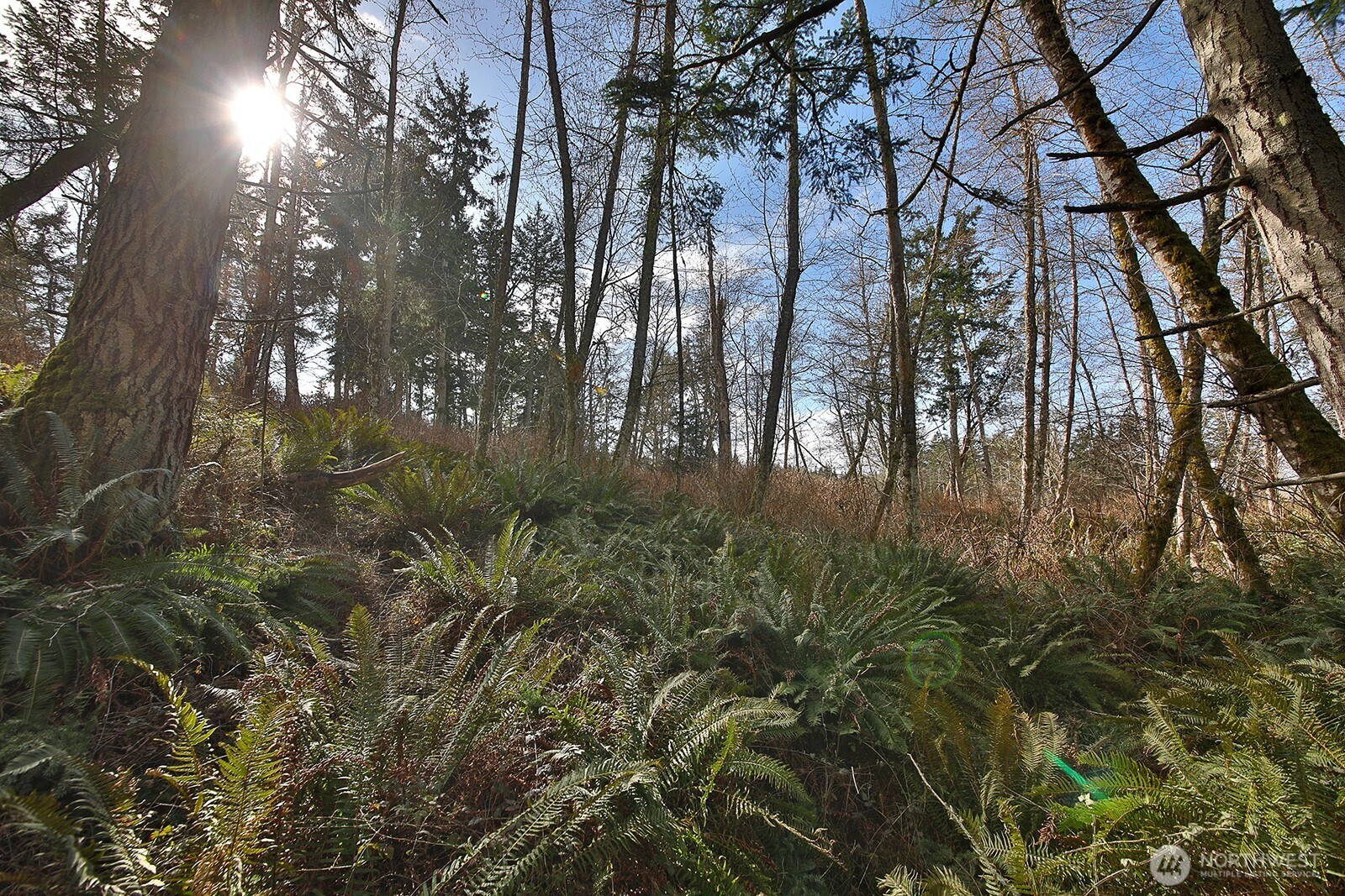 0 XXX Scatchet Head Road , Clinton, WA 98260