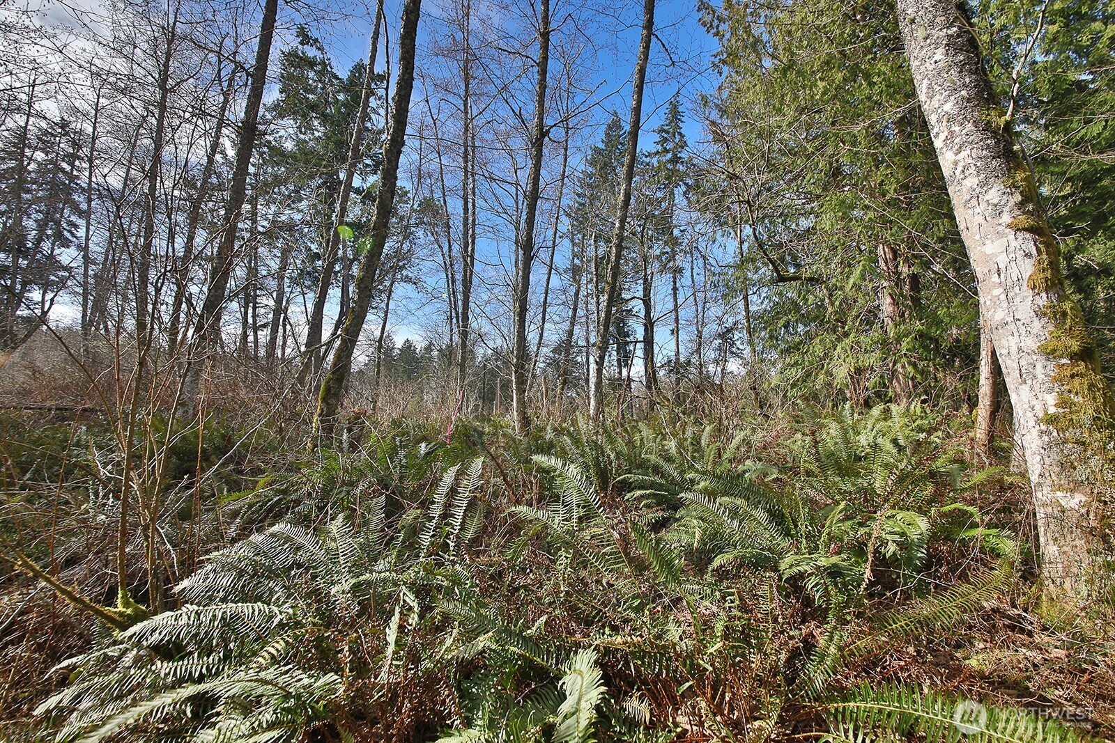 0 XXX Scatchet Head Road , Clinton, WA 98260