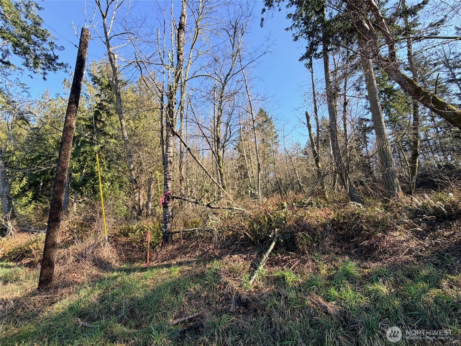 0 XXX Scatchet Head Road , Clinton, WA 98260