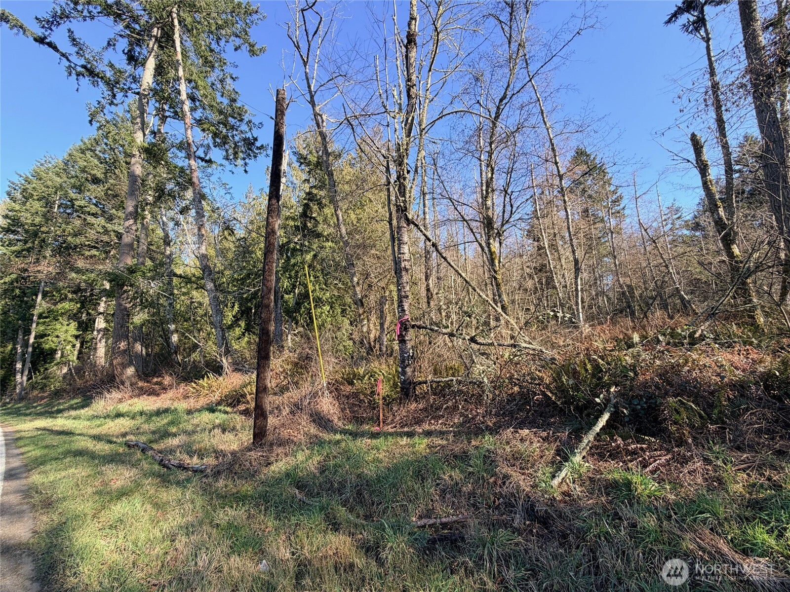 0 XXX Scatchet Head Road , Clinton, WA 98260