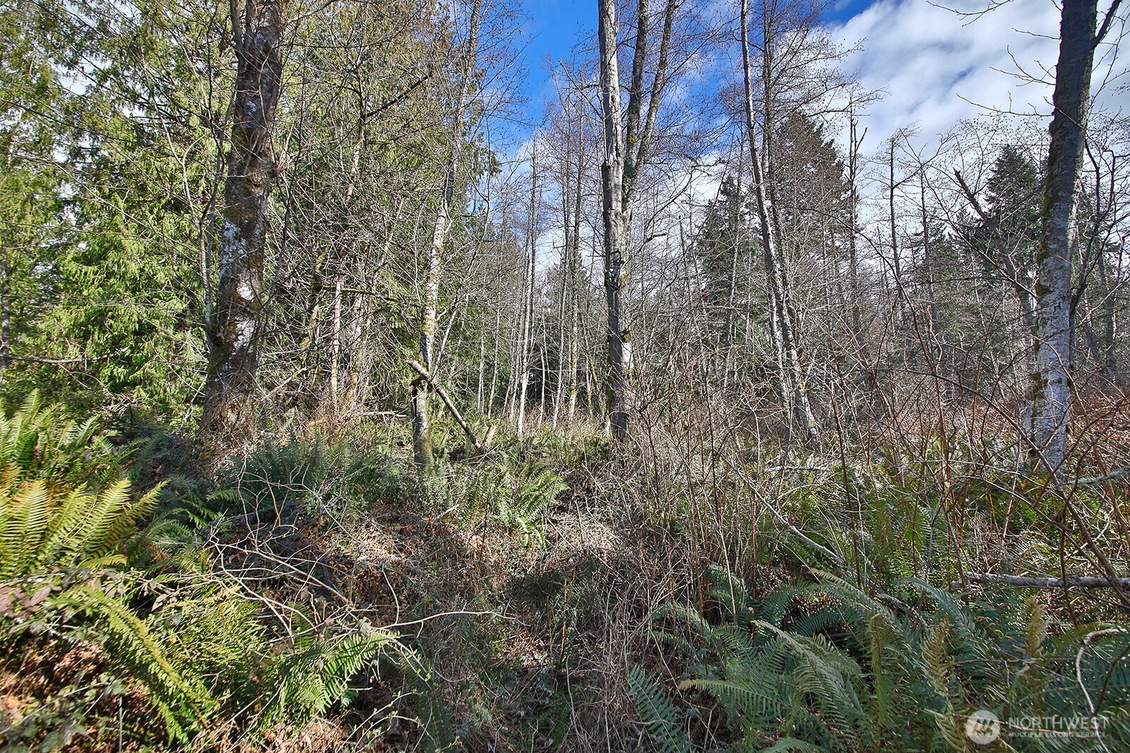 0 XXX Scatchet Head Road , Clinton, WA 98260