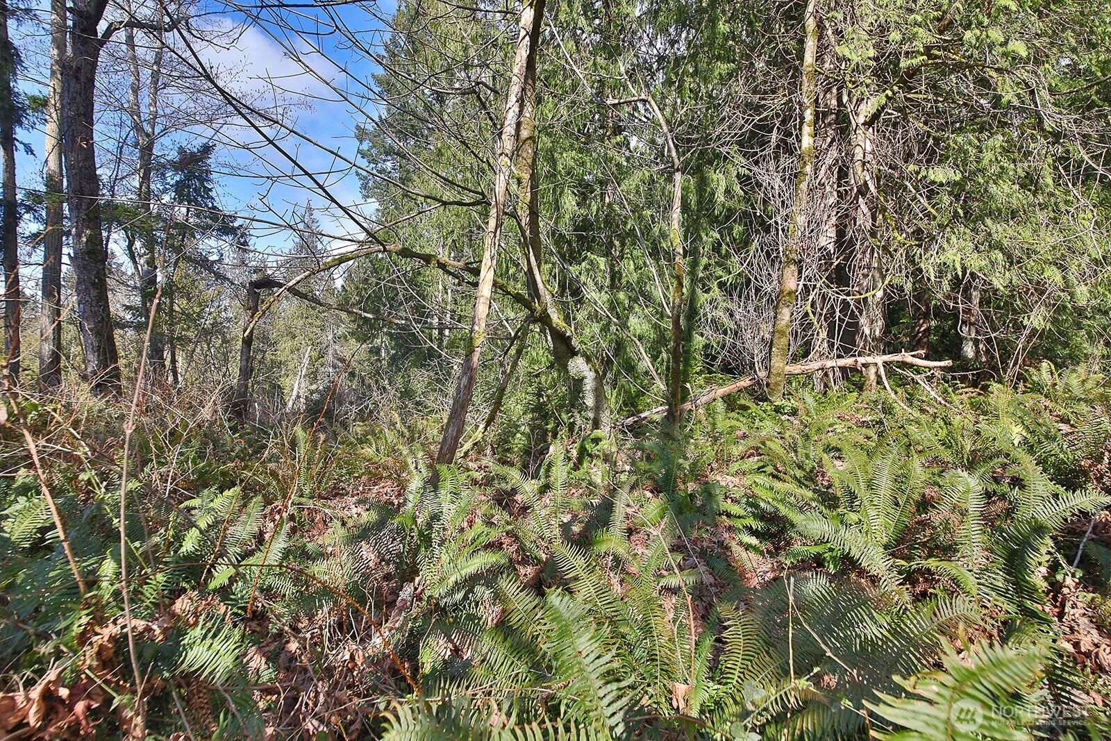 0 XXX Scatchet Head Road , Clinton, WA 98260