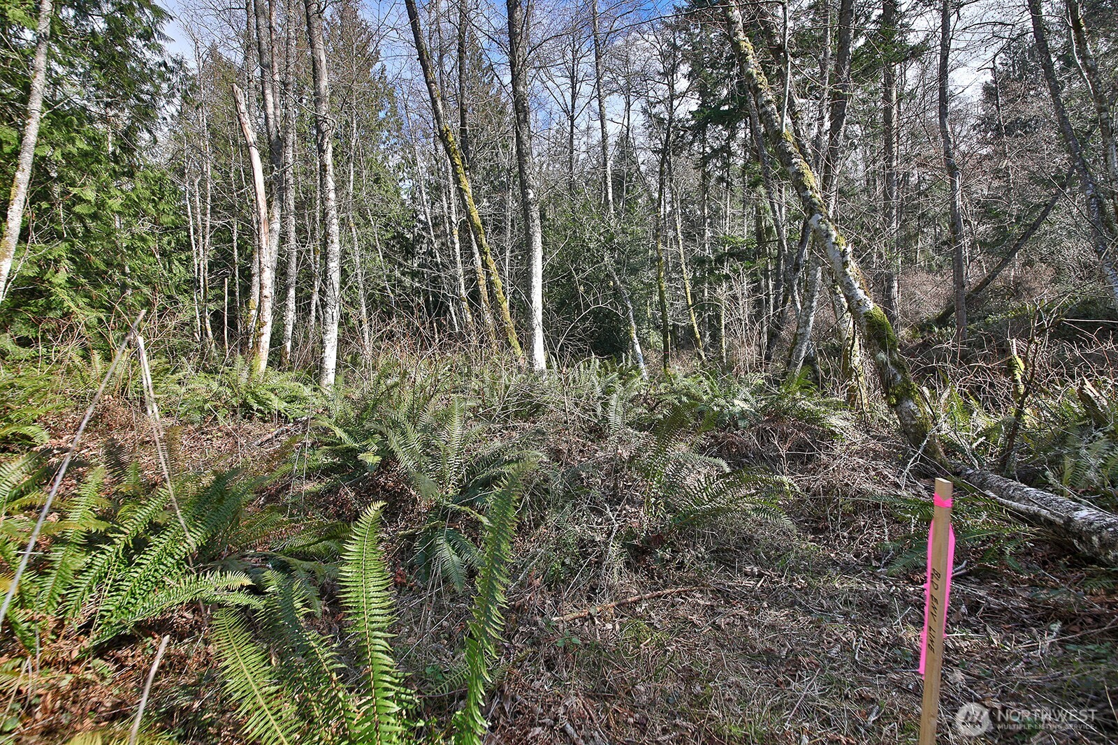 0 XXX Scatchet Head Road , Clinton, WA 98260