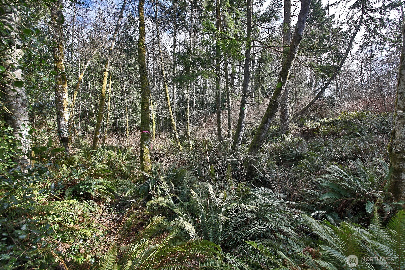 0 XXX Scatchet Head Road , Clinton, WA 98260