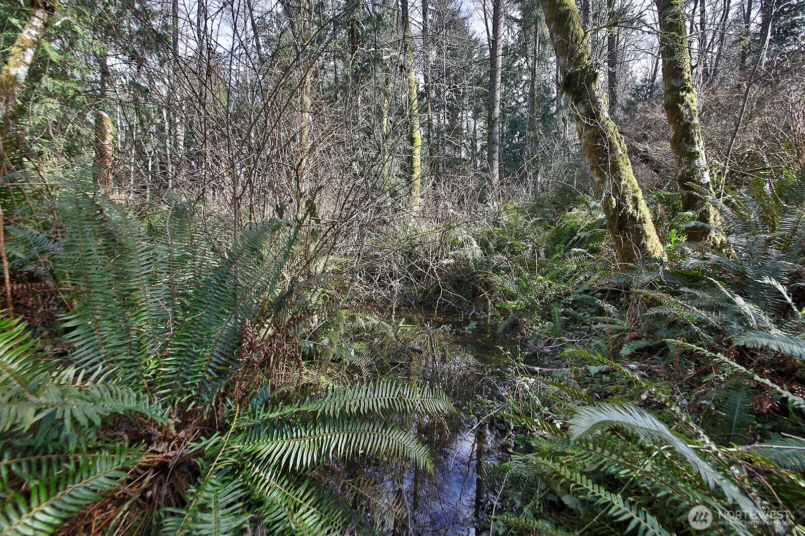 0 XXX Scatchet Head Road , Clinton, WA 98260