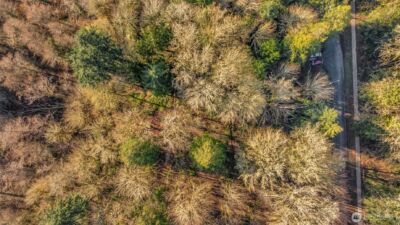 1506 Ann Street NE, Olympia, WA 98506 - Photo 11