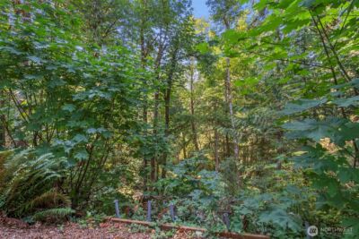 560 N Beacon Point Loop N, Lilliwaup, WA 98555 - Photo 24