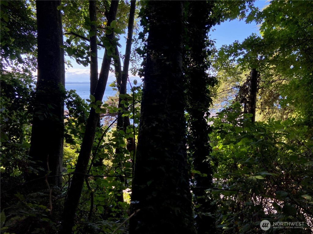 32 XX NW Esplanade , Seattle, WA 98117