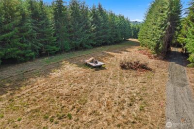 0 XX Markley Street , Raymond, WA 98577 - Photo 6