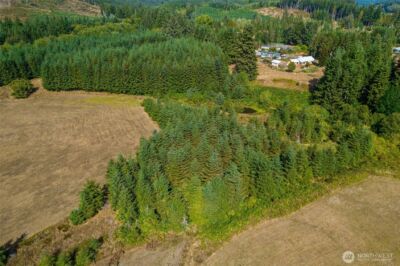 0 XX Markley Street , Raymond, WA 98577 - Photo 7