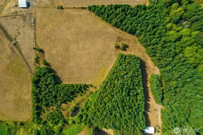 0 XX Markley Street , Raymond, WA 98577 - Photo 9