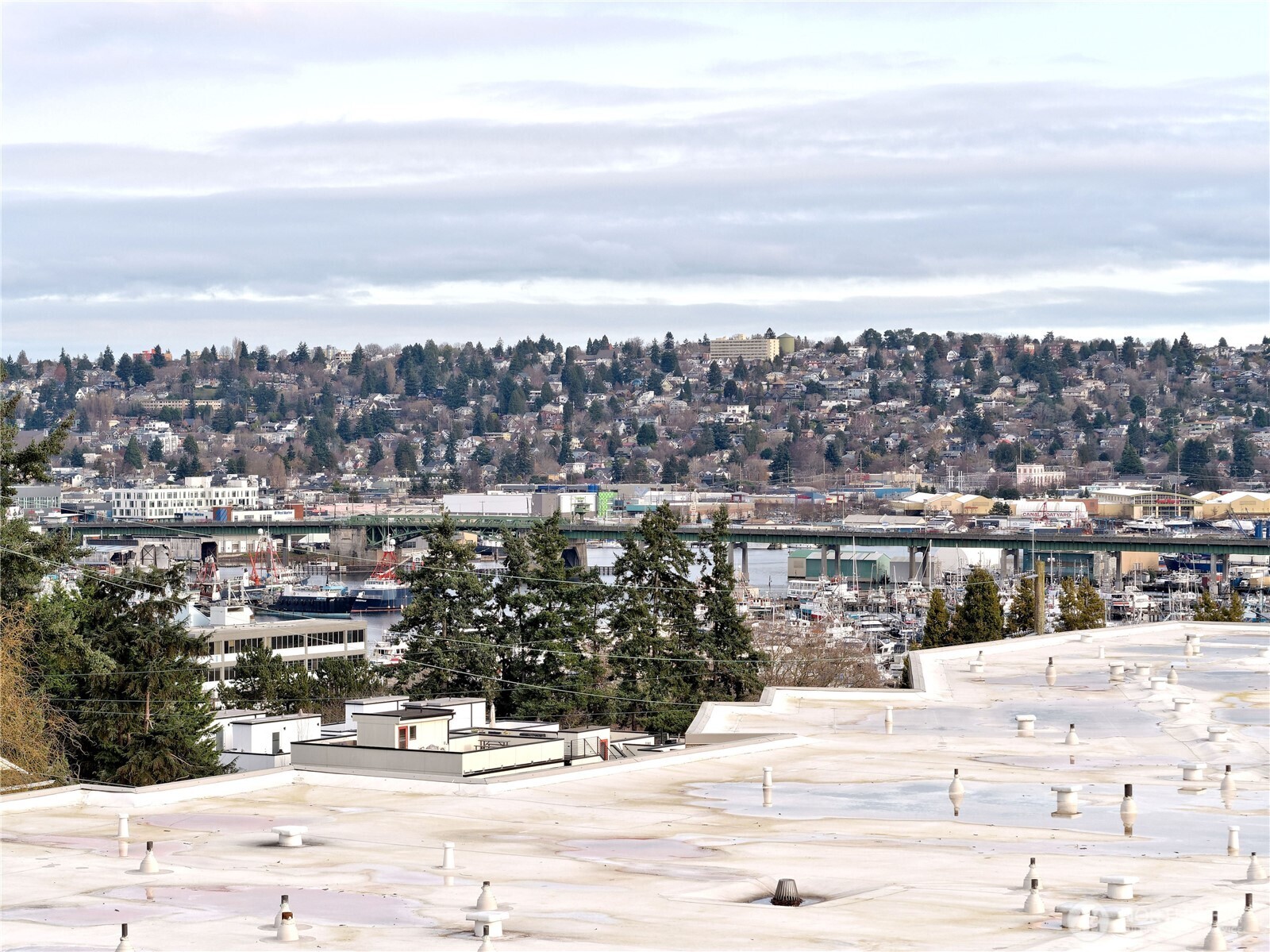 3700 25th Place W #202, Seattle, WA 98199