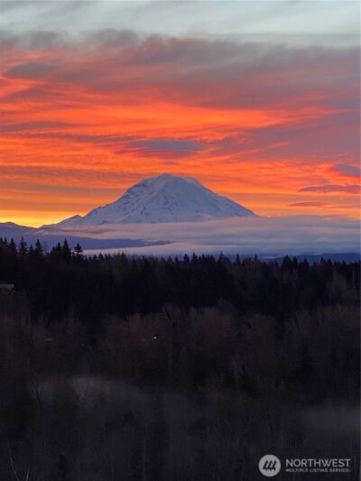 9615 183rd Avenue E, Bonney Lake, WA 98391 - Photo 4