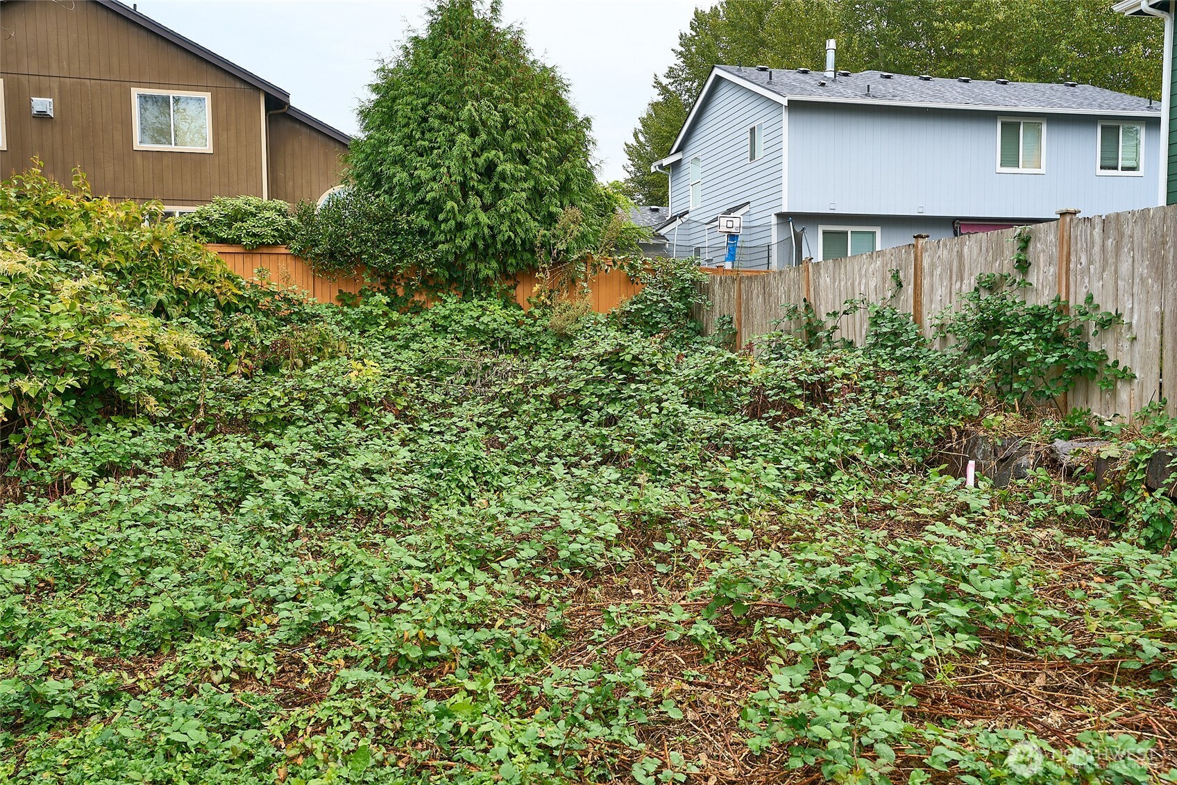 54 XX NE 4th , Renton, WA 98059