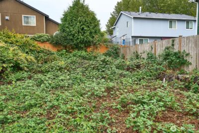 54 XX NE 4th , Renton, WA 98059 - Photo 5