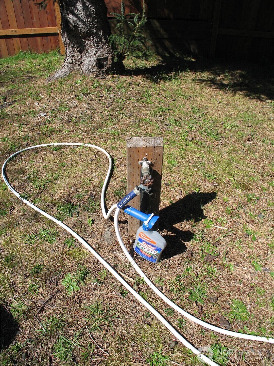 33117 H Place , Ocean Park, WA 98640