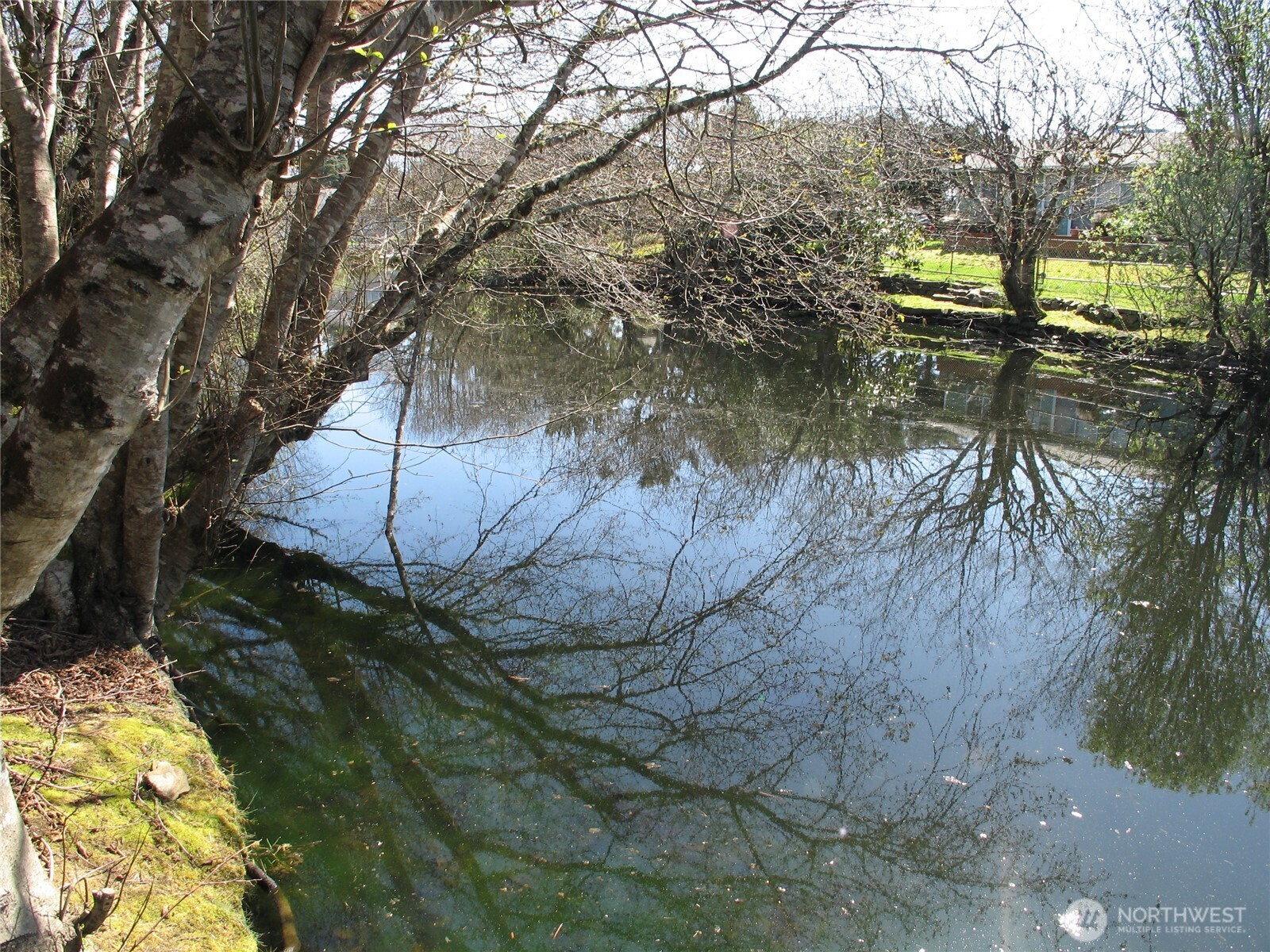 33117 H Place , Ocean Park, WA 98640