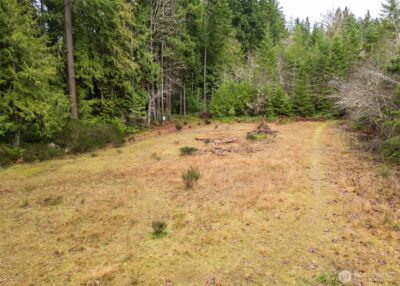 0 NKA Scribner Road , Port Angeles, WA 98362 - Photo 12