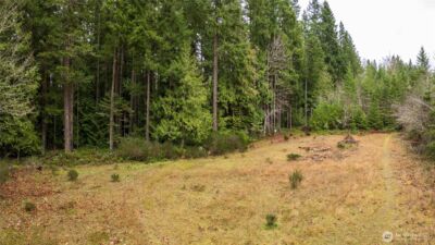 0 NKA Scribner Road , Port Angeles, WA 98362 - Photo 13