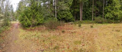 0 NKA Scribner Road , Port Angeles, WA 98362 - Photo 14