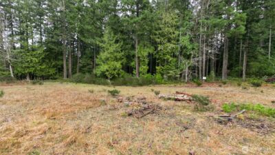 0 NKA Scribner Road , Port Angeles, WA 98362 - Photo 16