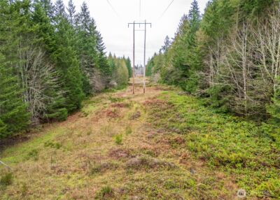 0 NKA Scribner Road , Port Angeles, WA 98362 - Photo 19