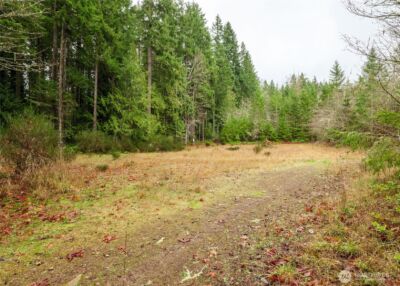 0 NKA Scribner Road , Port Angeles, WA 98362 - Photo 24