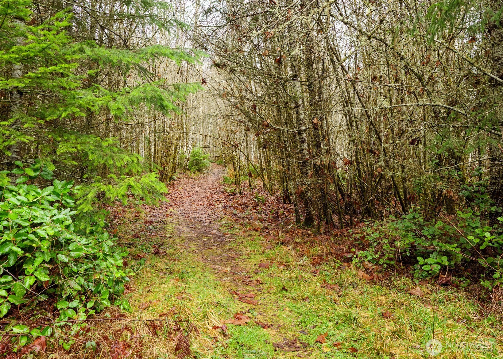 0 NKA Scribner Road , Port Angeles, WA 98362