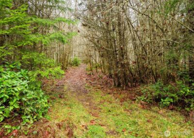 0 NKA Scribner Road , Port Angeles, WA 98362 - Photo 25