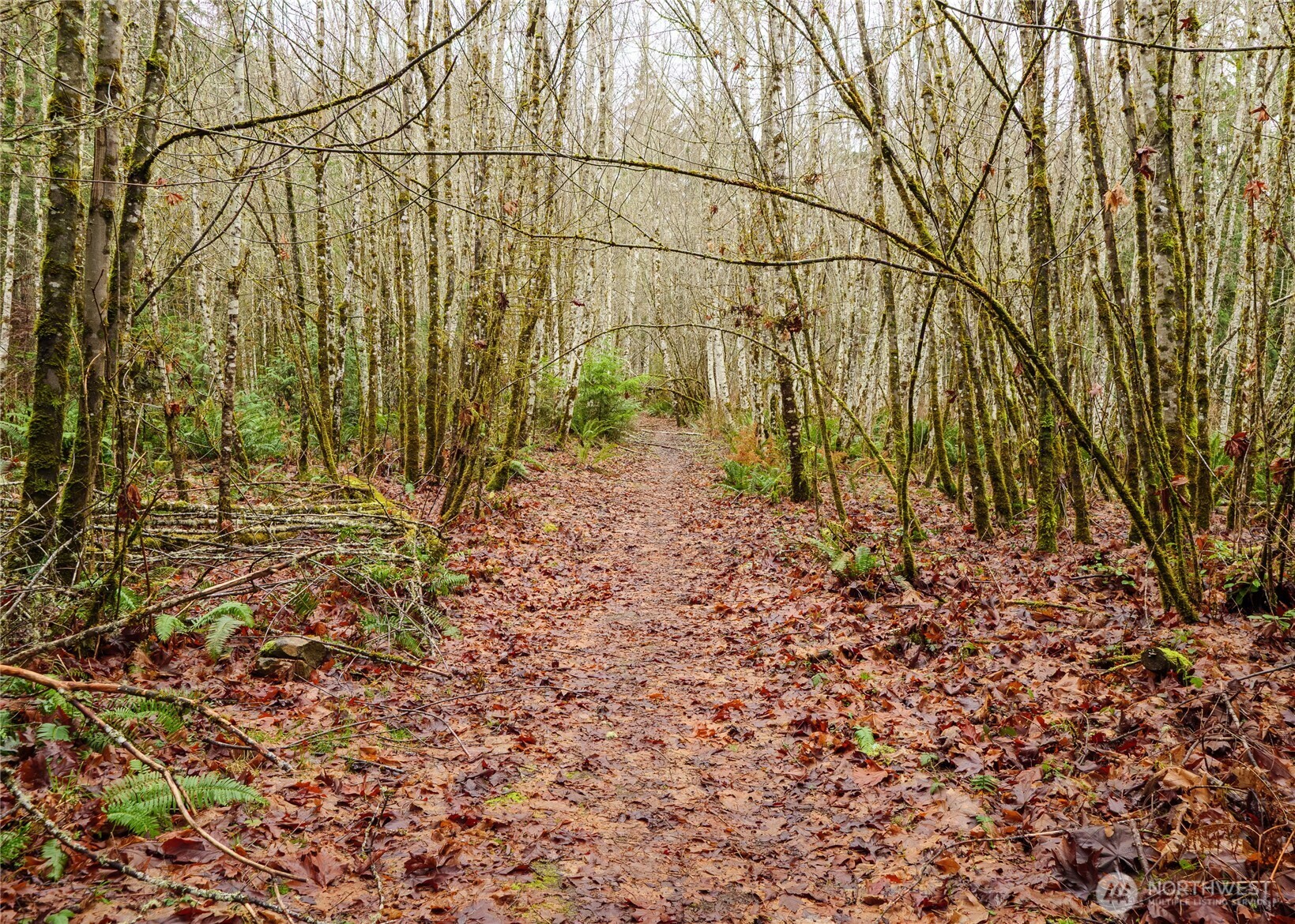 0 NKA Scribner Road , Port Angeles, WA 98362