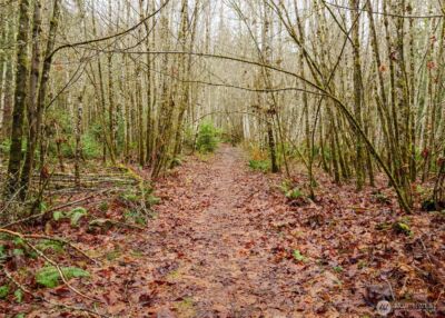 0 NKA Scribner Road , Port Angeles, WA 98362 - Photo 26