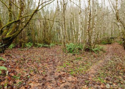 0 NKA Scribner Road , Port Angeles, WA 98362 - Photo 27