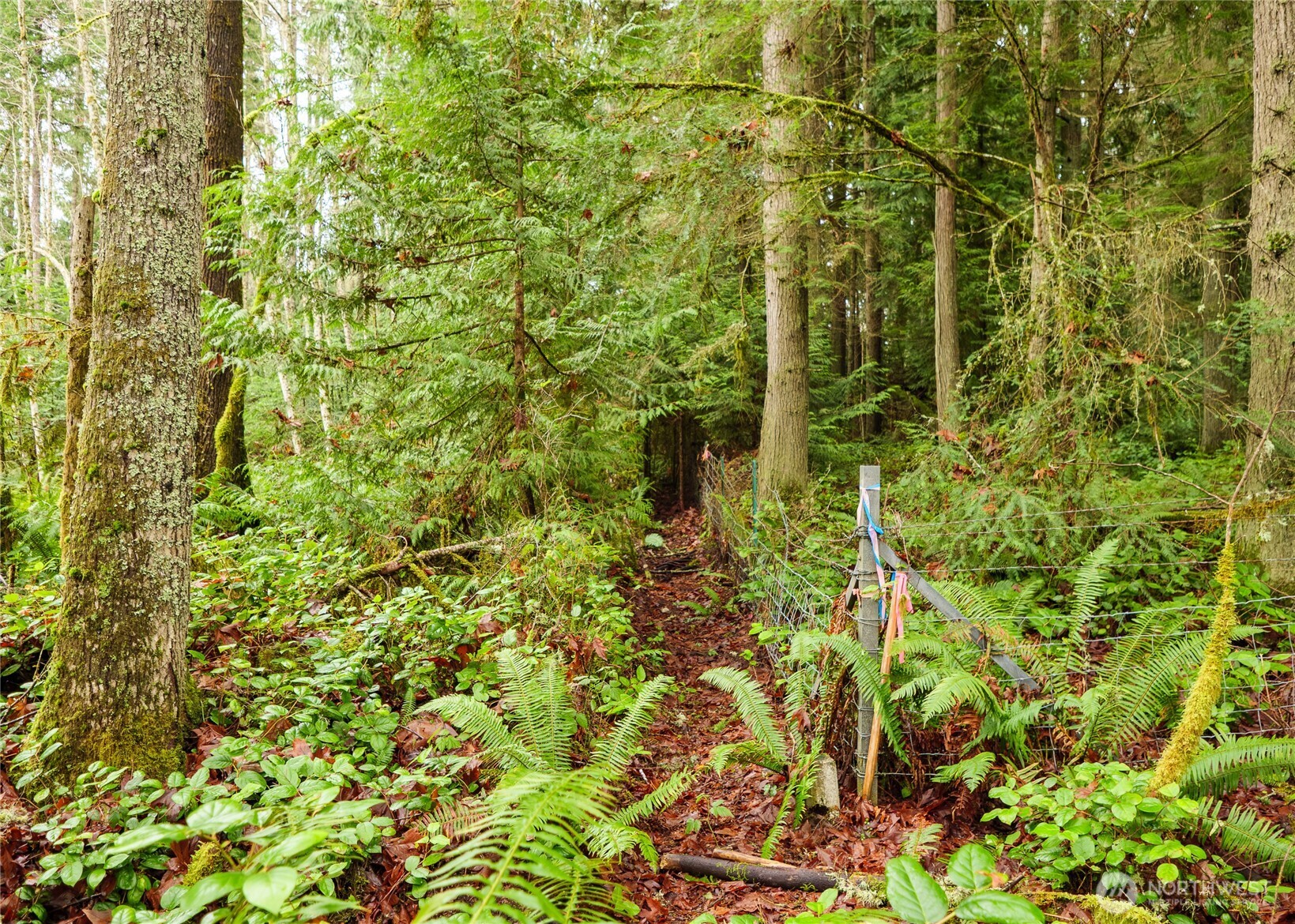 0 NKA Scribner Road , Port Angeles, WA 98362