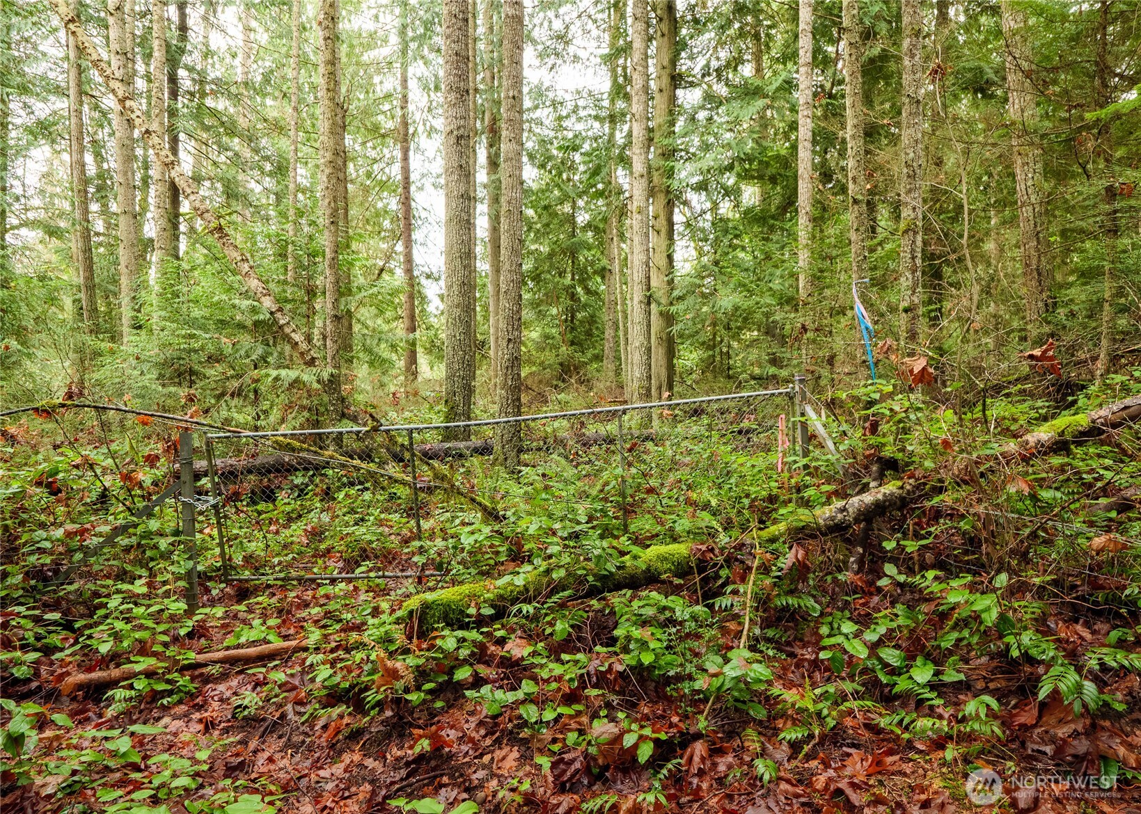 0 NKA Scribner Road , Port Angeles, WA 98362